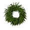 20in. Pre-Lit Artificial Real Touch Norfolk Island Pine Wreath with 35 Warm White LED Lights and Natural Look